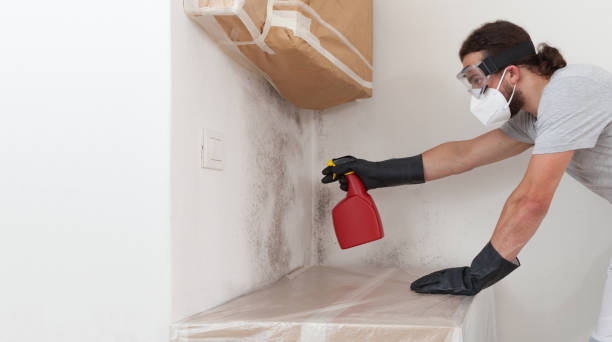 Professional Crawl Space Mold Removal technician working in Addison, IL
